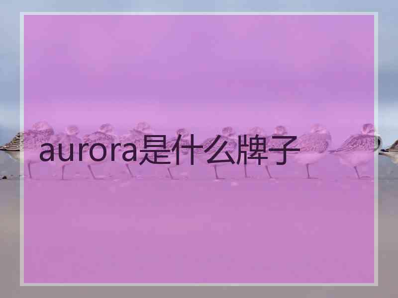 aurora是什么牌子