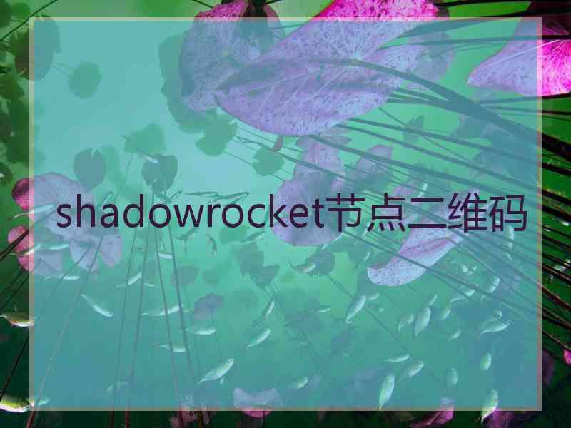 shadowrocket节点二维码