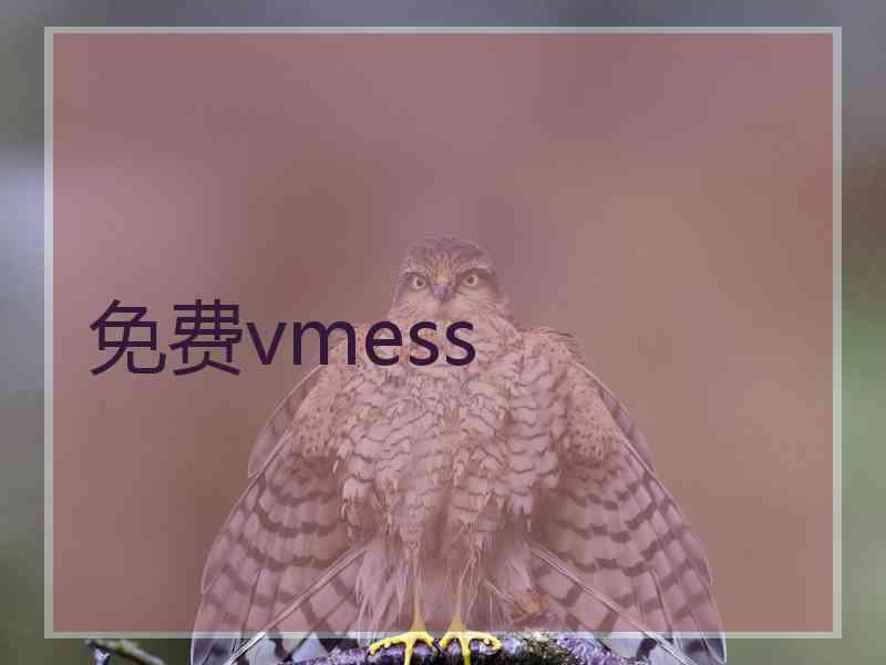 免费vmess