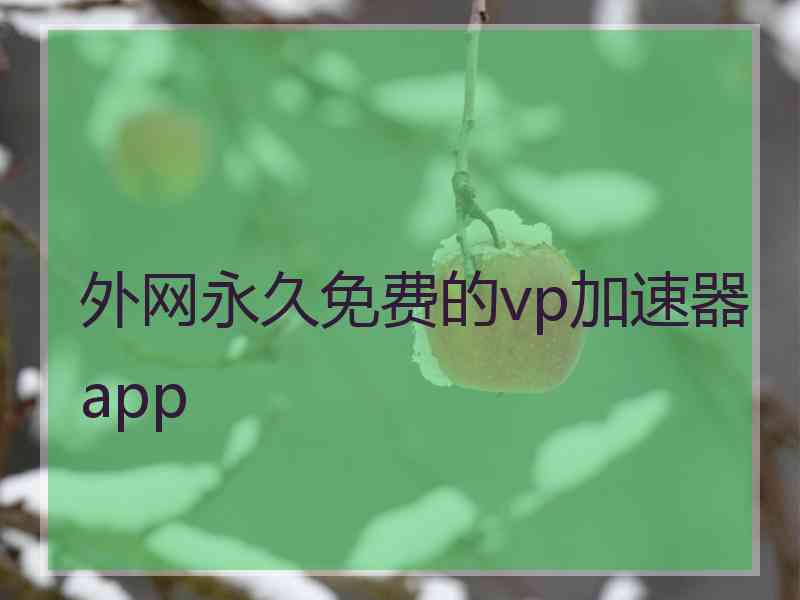 外网永久免费的vp加速器app