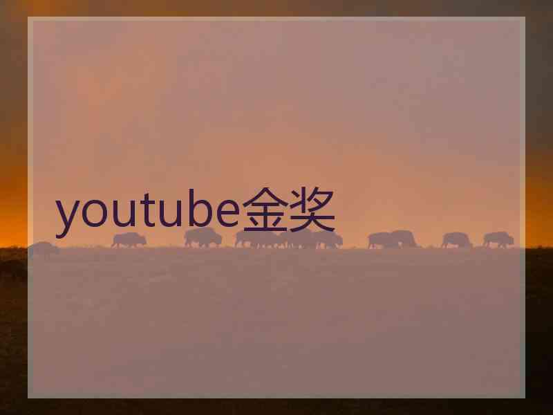 youtube金奖