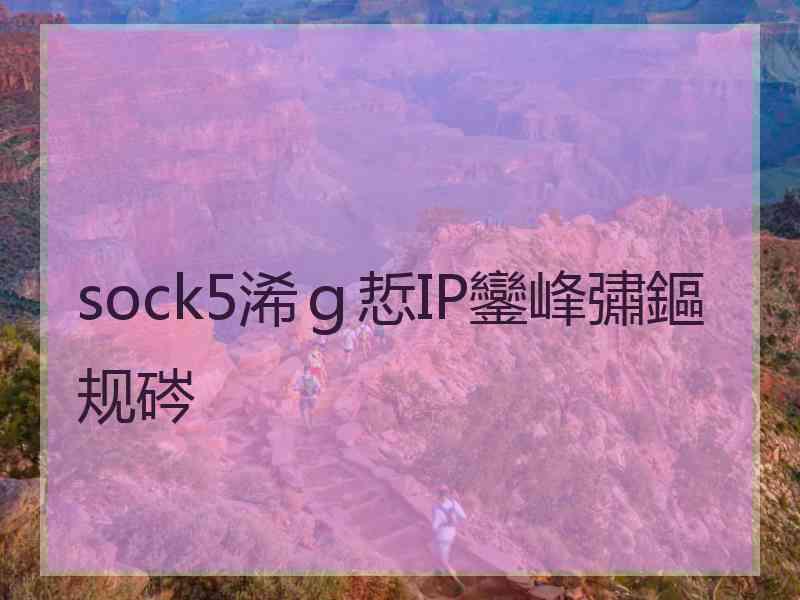 sock5浠ｇ悊IP鑾峰彇鏂规硶