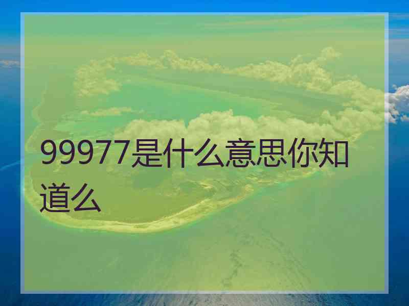 99977是什么意思你知道么