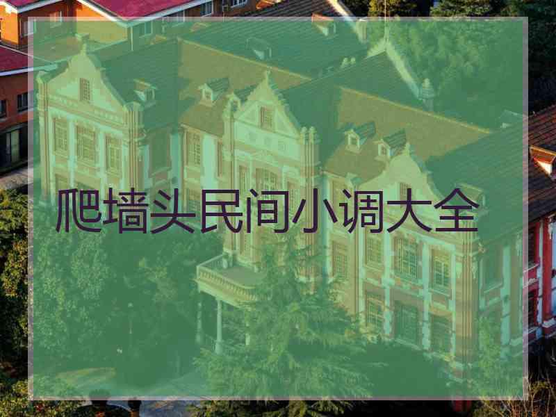 爬墙头民间小调大全