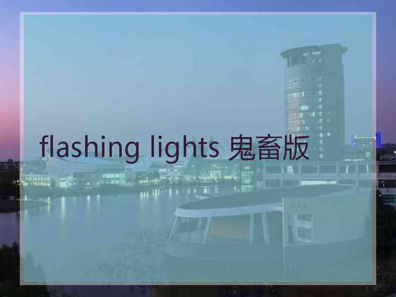 flashing lights 鬼畜版