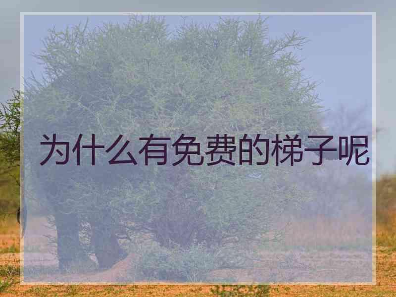 为什么有免费的梯子呢