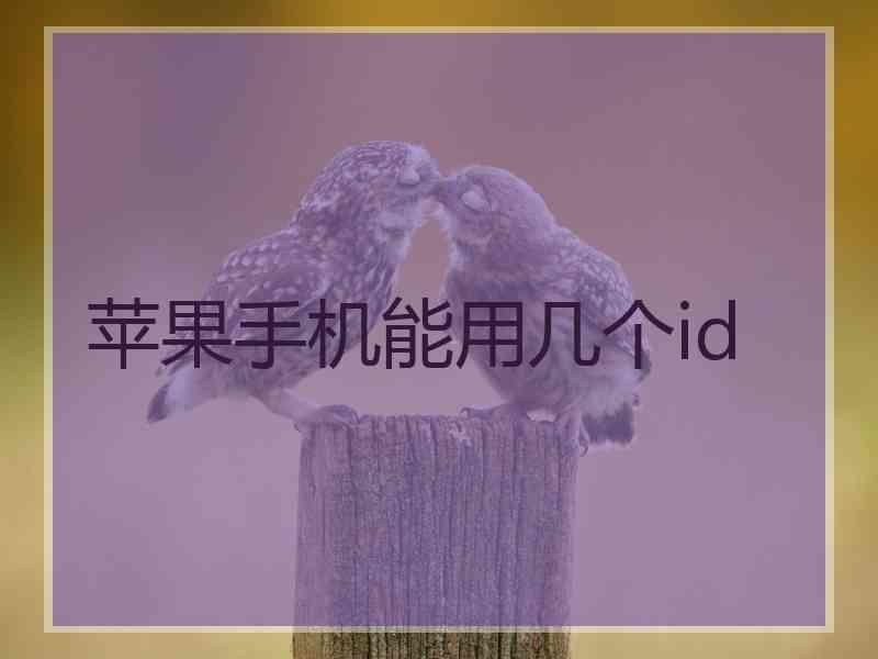 苹果手机能用几个id