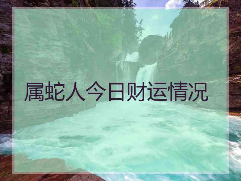 属蛇人今日财运情况