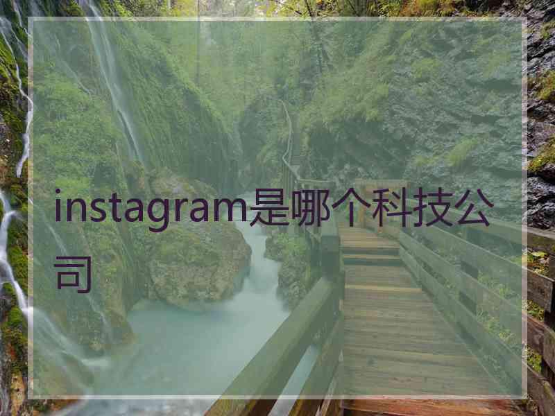 instagram是哪个科技公司