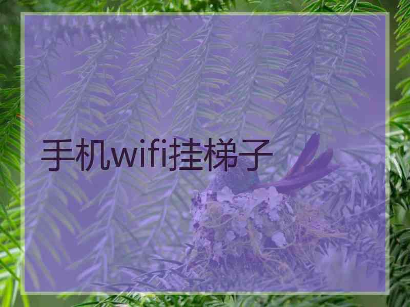 手机wifi挂梯子