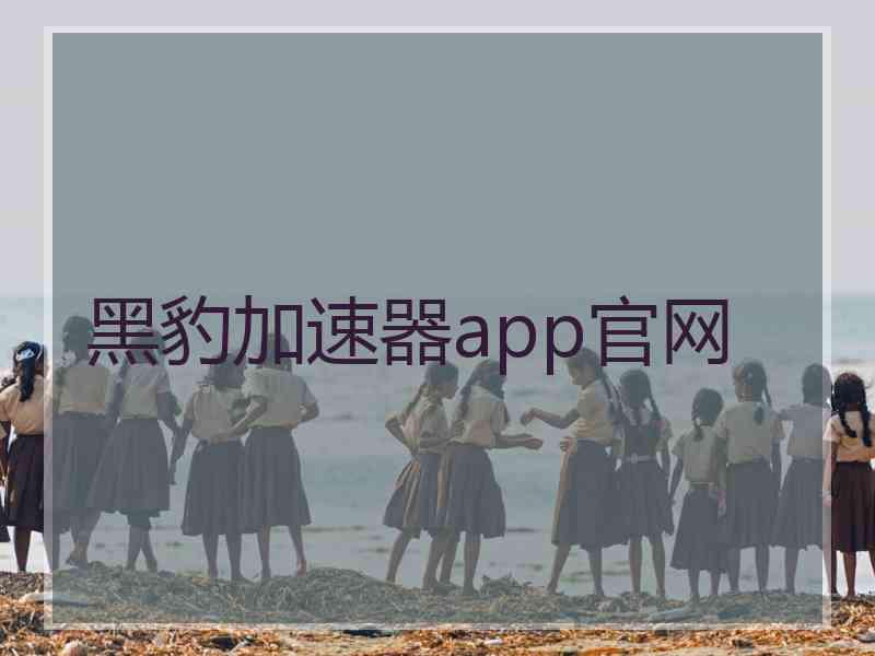 黑豹加速器app官网