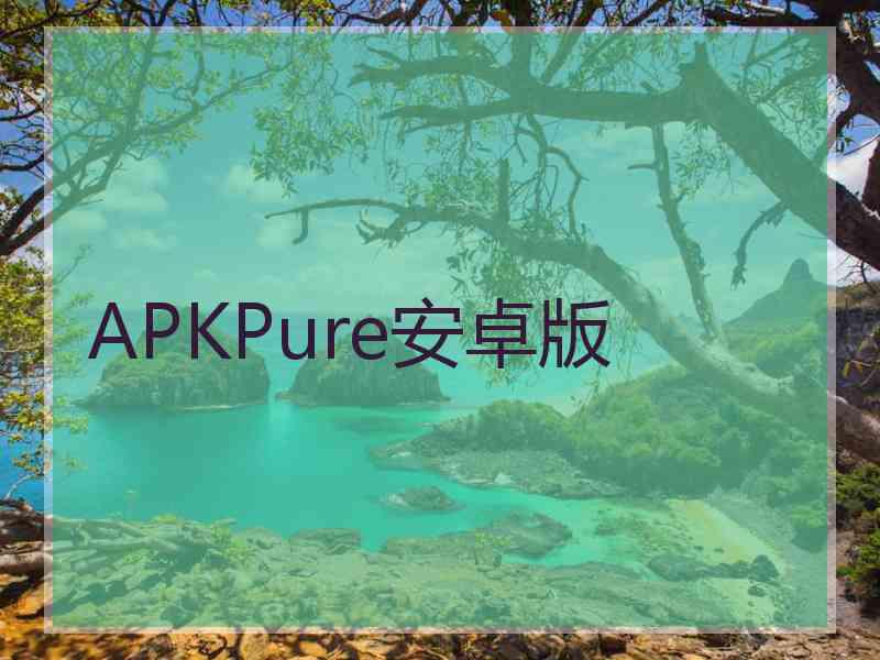 APKPure安卓版