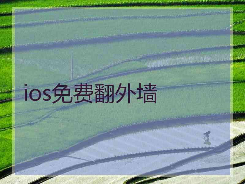 ios免费翻外墙