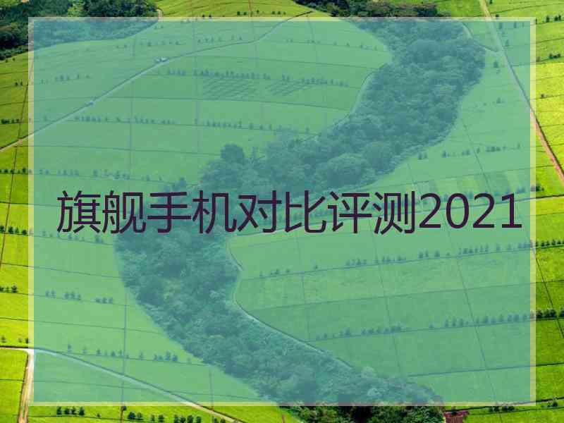 旗舰手机对比评测2021