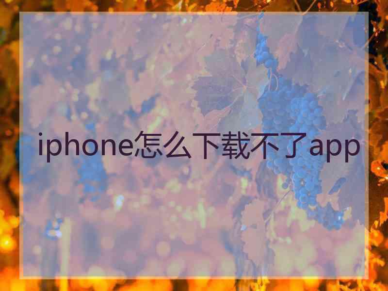 iphone怎么下载不了app