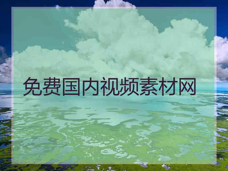 免费国内视频素材网