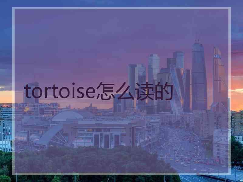 tortoise怎么读的