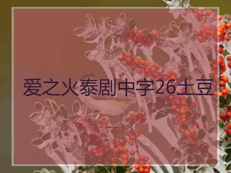 爱之火泰剧中字26土豆