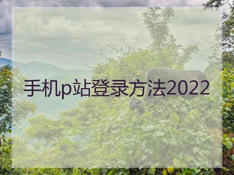 手机p站登录方法2022