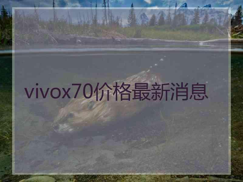 vivox70价格最新消息