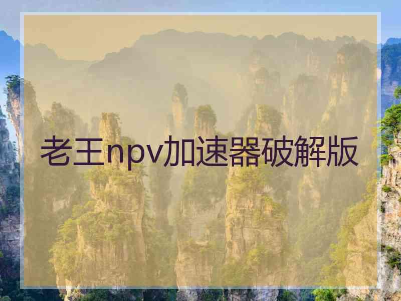 老王npv加速器破解版