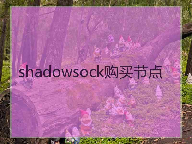 shadowsock购买节点