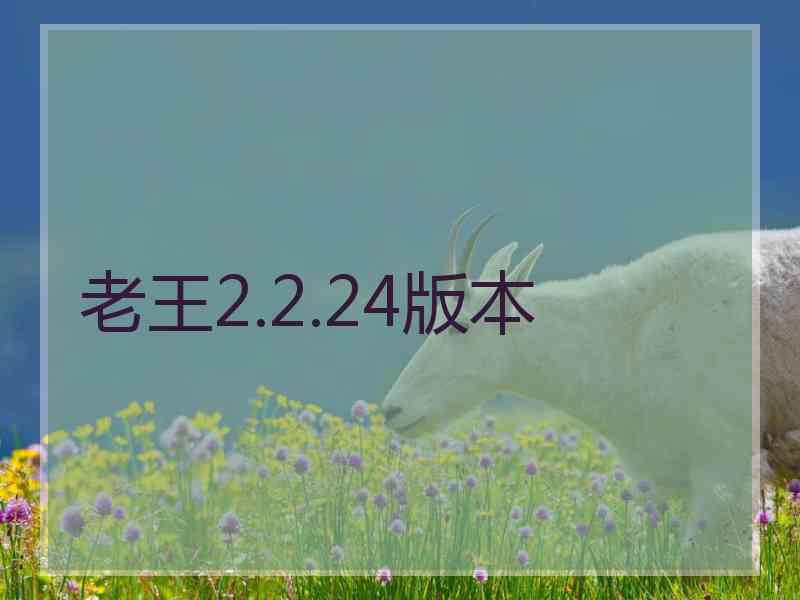 老王2.2.24版本