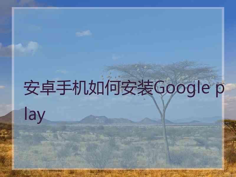 安卓手机如何安装Google play