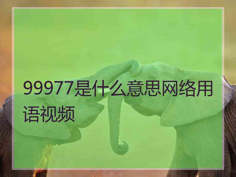 99977是什么意思网络用语视频