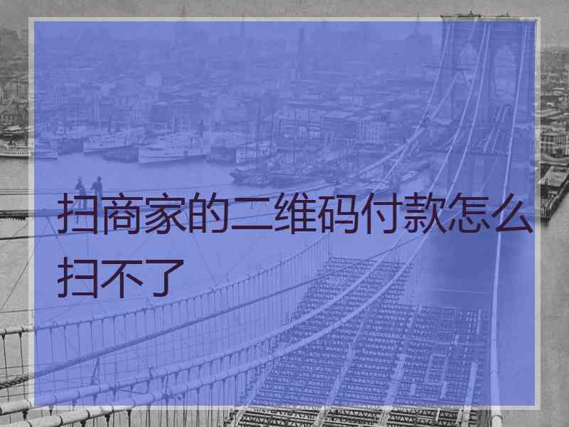 扫商家的二维码付款怎么扫不了