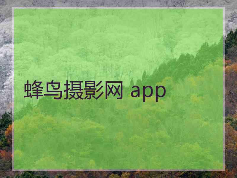 蜂鸟摄影网 app