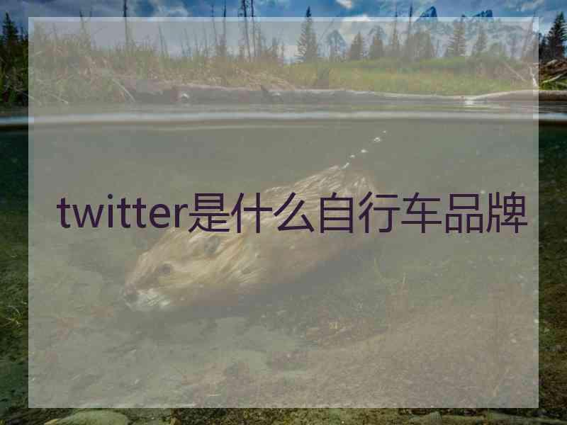 twitter是什么自行车品牌