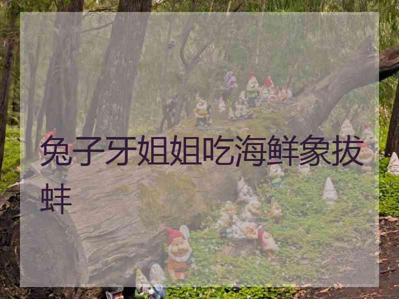 兔子牙姐姐吃海鲜象拔蚌