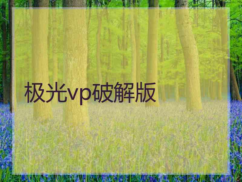 极光vp破解版