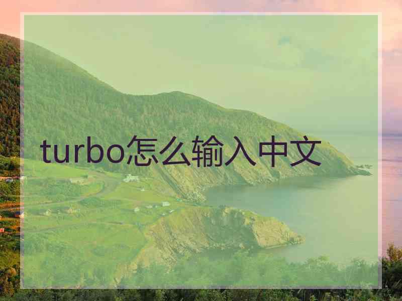 turbo怎么输入中文