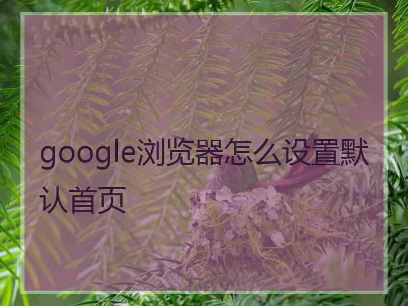 google浏览器怎么设置默认首页