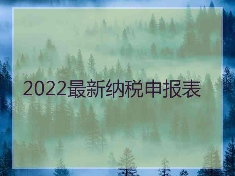 2022最新纳税申报表