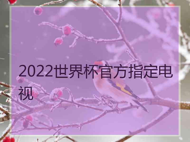 2022世界杯官方指定电视