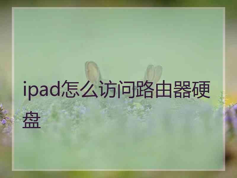 ipad怎么访问路由器硬盘