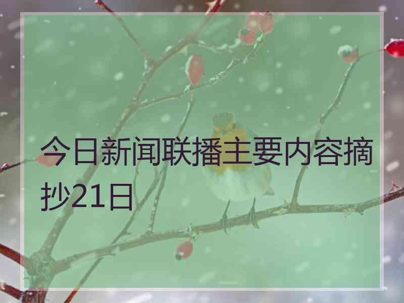 今日新闻联播主要内容摘抄21日