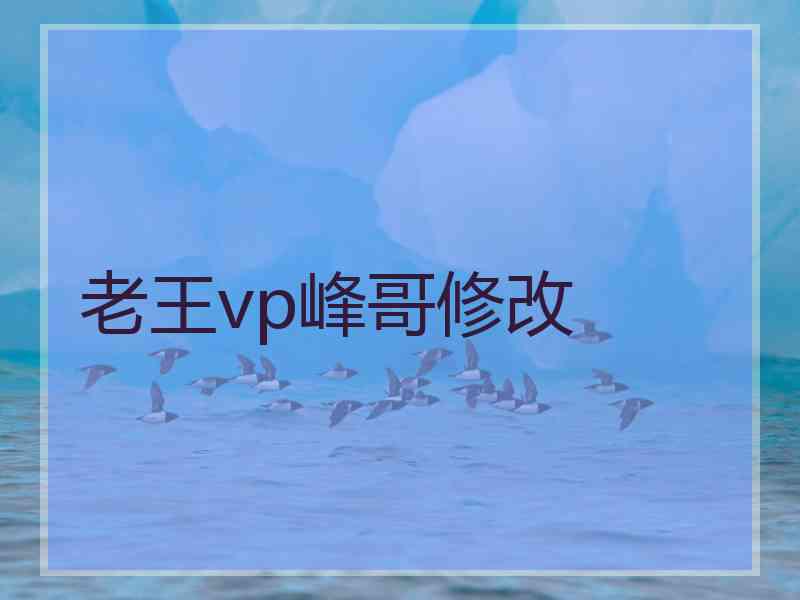 老王vp峰哥修改