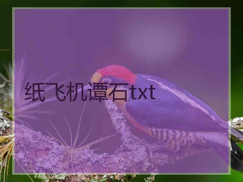 纸飞机谭石txt