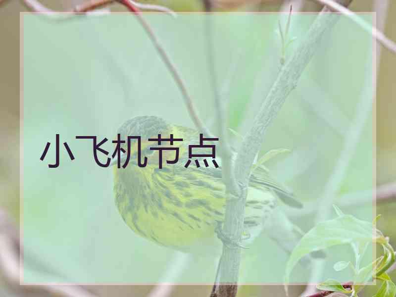 小飞机节点