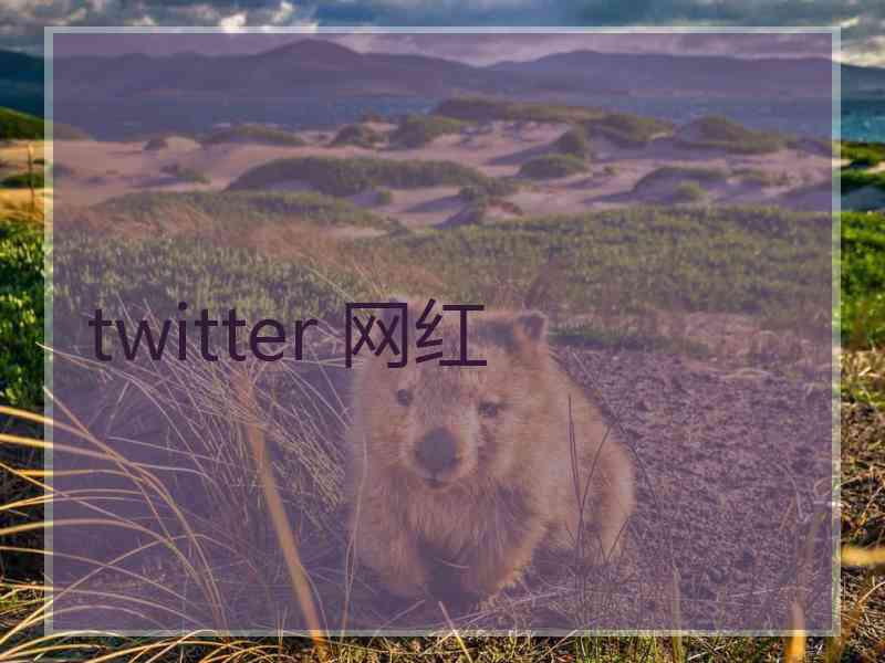 twitter 网红