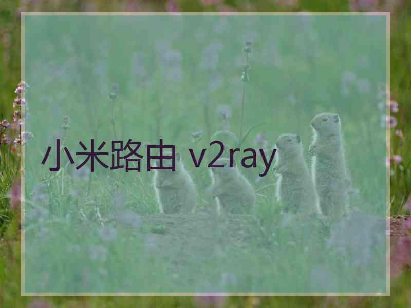 小米路由 v2ray