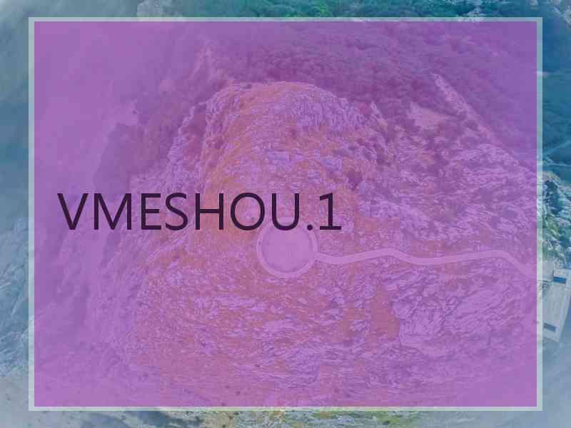 VMESHOU.1