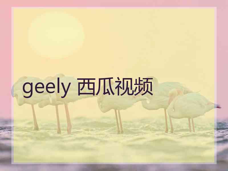 geely 西瓜视频