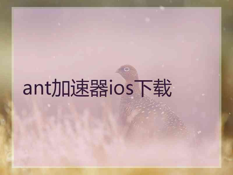 ant加速器ios下载