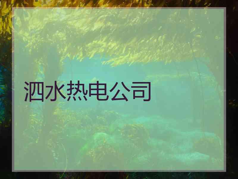 泗水热电公司