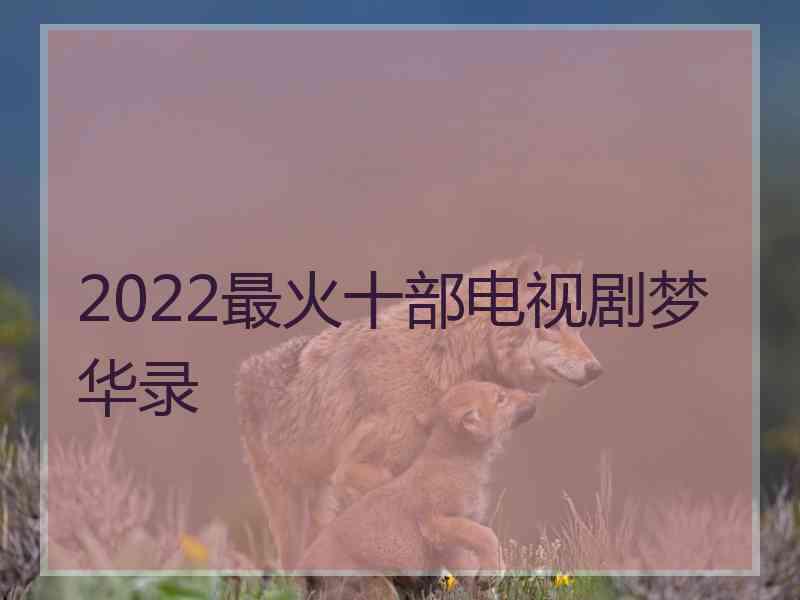 2022最火十部电视剧梦华录